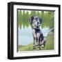 Pensive Puppy-Kim Curinga-Framed Art Print