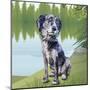 Pensive Puppy-Kim Curinga-Mounted Art Print