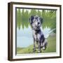 Pensive Puppy-Kim Curinga-Framed Art Print