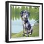 Pensive Puppy-Kim Curinga-Framed Art Print