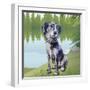 Pensive Puppy-Kim Curinga-Framed Art Print