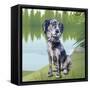Pensive Puppy-Kim Curinga-Framed Stretched Canvas