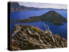 Penstemon Blooms on Cliff Overlooking Wizard Island-Steve Terrill-Stretched Canvas