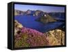 Penstemon Blooms on Cliff Overlooking Wizard Island-Steve Terrill-Framed Stretched Canvas