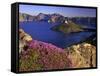 Penstemon Blooms on Cliff Overlooking Wizard Island-Steve Terrill-Framed Stretched Canvas