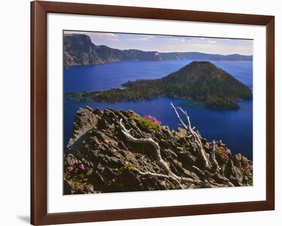 Penstemon Blooms on Cliff Overlooking Wizard Island-Steve Terrill-Framed Photographic Print