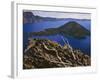 Penstemon Blooms on Cliff Overlooking Wizard Island-Steve Terrill-Framed Photographic Print