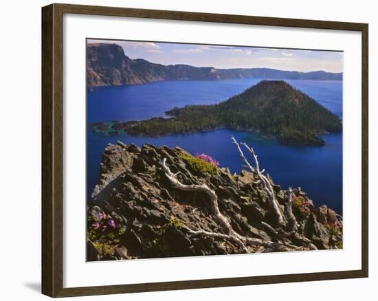 Penstemon Blooms on Cliff Overlooking Wizard Island-Steve Terrill-Framed Photographic Print