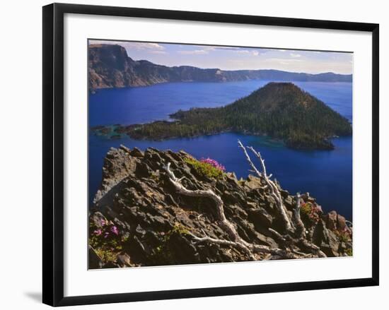 Penstemon Blooms on Cliff Overlooking Wizard Island-Steve Terrill-Framed Photographic Print