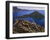 Penstemon Blooms on Cliff Overlooking Wizard Island-Steve Terrill-Framed Photographic Print