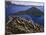 Penstemon Blooms on Cliff Overlooking Wizard Island-Steve Terrill-Mounted Photographic Print