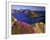 Penstemon Blooms on Cliff Overlooking Wizard Island-Steve Terrill-Framed Photographic Print