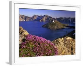 Penstemon Blooms on Cliff Overlooking Wizard Island-Steve Terrill-Framed Photographic Print