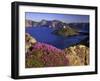 Penstemon Blooms on Cliff Overlooking Wizard Island-Steve Terrill-Framed Photographic Print