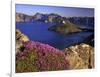 Penstemon Blooms on Cliff Overlooking Wizard Island-Steve Terrill-Framed Photographic Print