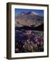 Penstemon Flowers, Washington State, USA-Colin Brynn-Framed Photographic Print