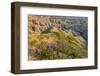 Penstemon Wildflowers in Badlands National Park, South Dakota, Usa-Chuck Haney-Framed Photographic Print