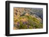 Penstemon Wildflowers in Badlands National Park, South Dakota, Usa-Chuck Haney-Framed Photographic Print