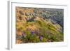 Penstemon Wildflowers in Badlands National Park, South Dakota, Usa-Chuck Haney-Framed Photographic Print