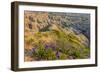 Penstemon Wildflowers in Badlands National Park, South Dakota, Usa-Chuck Haney-Framed Photographic Print