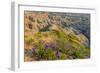 Penstemon Wildflowers in Badlands National Park, South Dakota, Usa-Chuck Haney-Framed Photographic Print