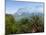 Penta Di Casinca, Haute-Corse, Corsica, France, Europe-John Miller-Mounted Photographic Print