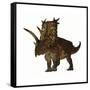 Pentaceratops, a Herbivorous Dinosaur from the Cretaceous Period-null-Framed Stretched Canvas