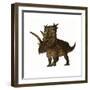 Pentaceratops, a Herbivorous Dinosaur from the Cretaceous Period-null-Framed Premium Giclee Print