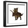 Pentaceratops, a Herbivorous Dinosaur from the Cretaceous Period-null-Framed Art Print