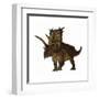 Pentaceratops, a Herbivorous Dinosaur from the Cretaceous Period-null-Framed Art Print