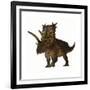 Pentaceratops, a Herbivorous Dinosaur from the Cretaceous Period-null-Framed Art Print