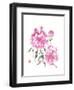 Peonie Blossoms I-Nan Rae-Framed Art Print