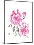 Peonie Blossoms I-Nan Rae-Mounted Art Print