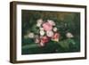 Peonies, 1875 (Oil on Canvas)-Albert-Charles Lebourg-Framed Giclee Print