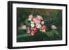 Peonies, 1875 (Oil on Canvas)-Albert-Charles Lebourg-Framed Giclee Print