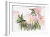 Peonies, 1987-Claudia Hutchins-Puechavy-Framed Giclee Print