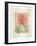 Peonies 1-Maria Trad-Framed Giclee Print