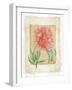 Peonies 1-Maria Trad-Framed Giclee Print