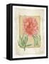 Peonies 1-Maria Trad-Framed Stretched Canvas