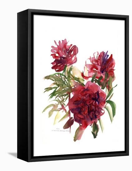 Peonies, 2002-Claudia Hutchins-Puechavy-Framed Stretched Canvas