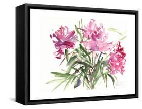 Peonies, 2004-Claudia Hutchins-Puechavy-Framed Stretched Canvas