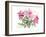 Peonies, 2004-Claudia Hutchins-Puechavy-Framed Giclee Print