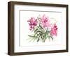 Peonies, 2004-Claudia Hutchins-Puechavy-Framed Giclee Print