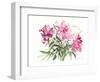 Peonies, 2004-Claudia Hutchins-Puechavy-Framed Giclee Print