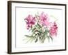 Peonies, 2004-Claudia Hutchins-Puechavy-Framed Giclee Print