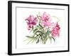 Peonies, 2004-Claudia Hutchins-Puechavy-Framed Giclee Print