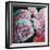 Peonies, 2010 (oil on canvas)-Helen White-Framed Premium Giclee Print