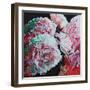 Peonies, 2010 (oil on canvas)-Helen White-Framed Giclee Print