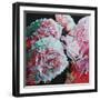 Peonies, 2010 (oil on canvas)-Helen White-Framed Giclee Print