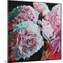 Peonies, 2010 (oil on canvas)-Helen White-Mounted Giclee Print